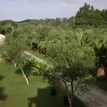 Irini Apartments And Studios