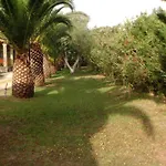 Irini Apartments And Studios